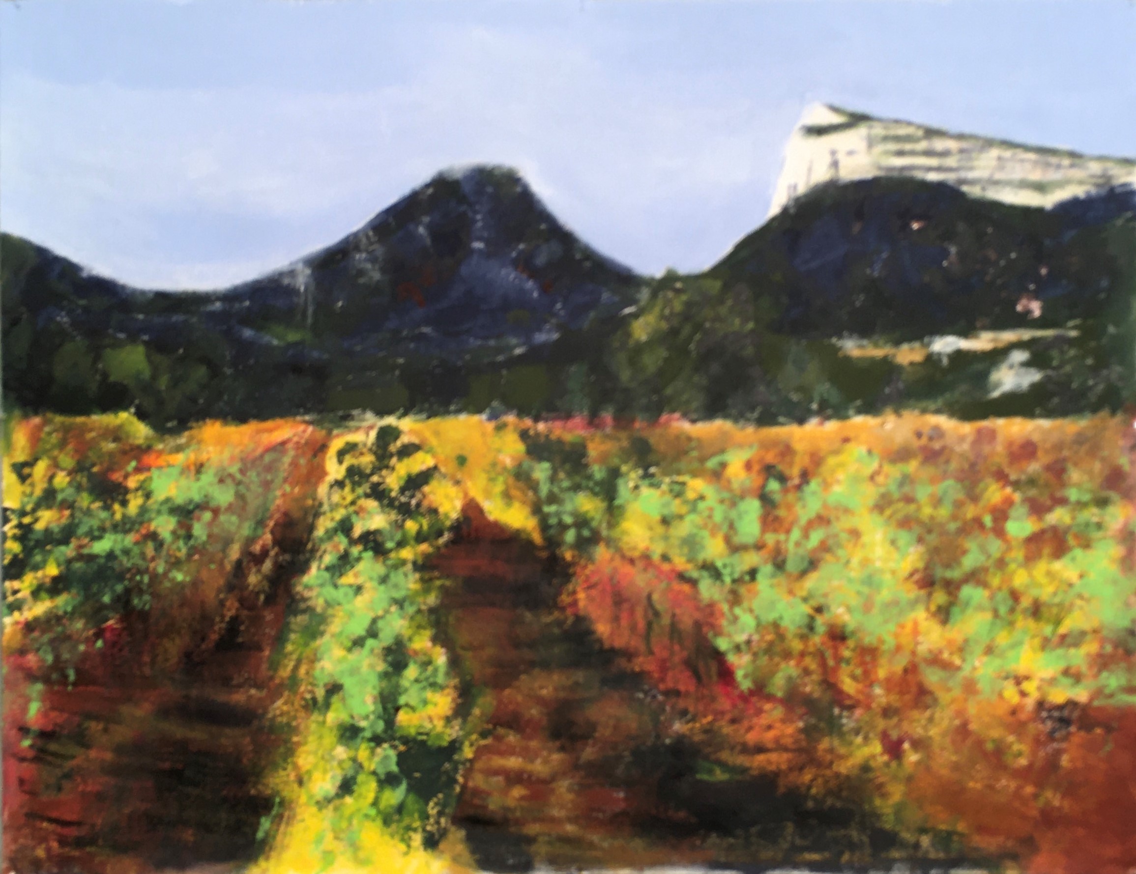 N° 9214 - Vignes d'automne au Pic Saint-Loup - Acrylique sur papier - 50 x 65 cm - 7 octobre 2020